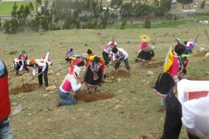 Proyecto para combatir cambio climático en Perú