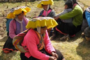 Biodigestores como energía sostenible perú